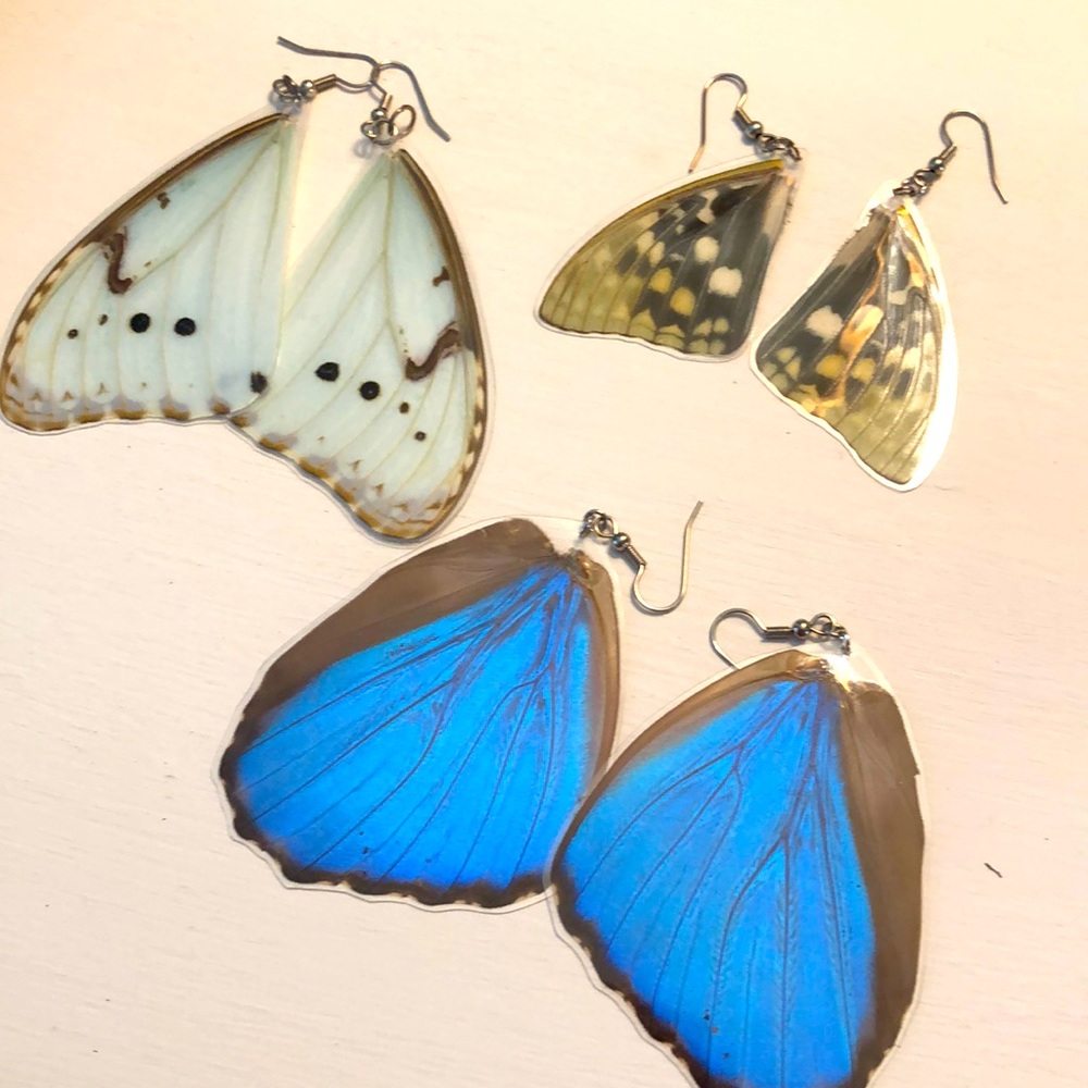 Real butterfly wing earring set